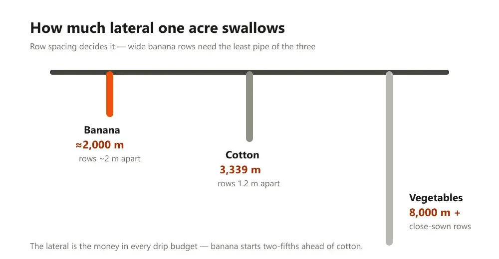 Three hanging lines comparing lateral metres per acre for banana, cotton and vegetables