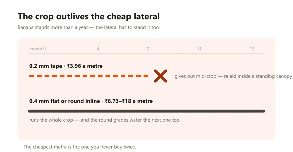Fifteen-month timeline showing thin drip tape giving out mid-crop while heavy pipe runs on