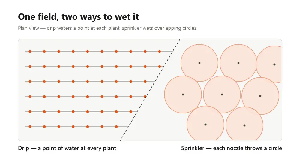 Plan view of one field, drip dots along rows on the left and sprinkler circles on the right