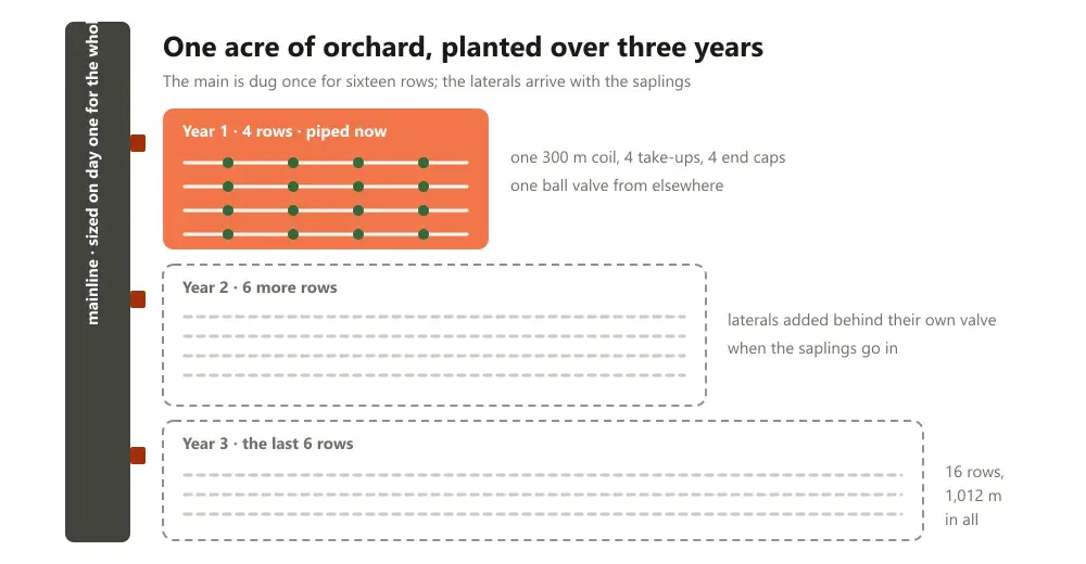 An orchard acre shown in three planting years, the first four rows piped this year and the rest added row by row behind one mainline