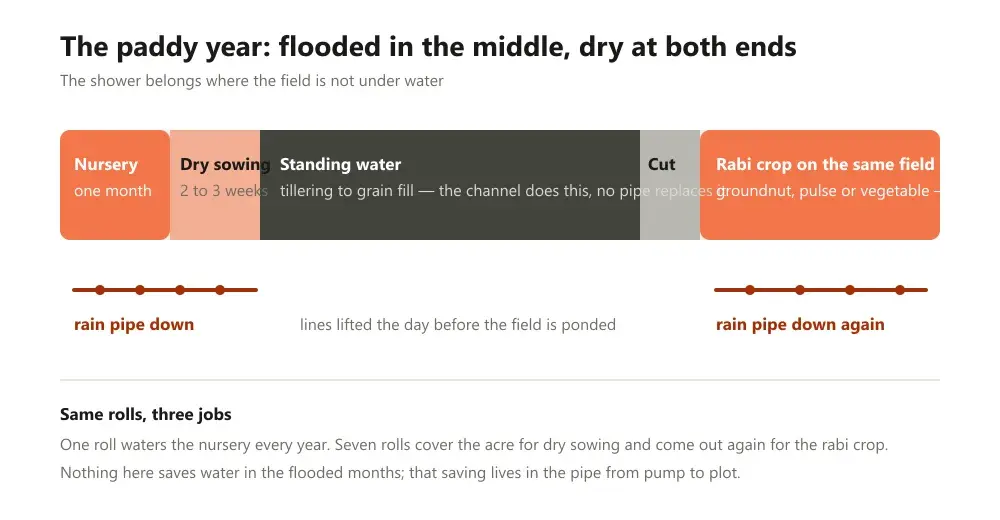 A paddy season drawn as a strip from nursery to harvest to the rabi crop, with the three stretches where a rain pipe works marked