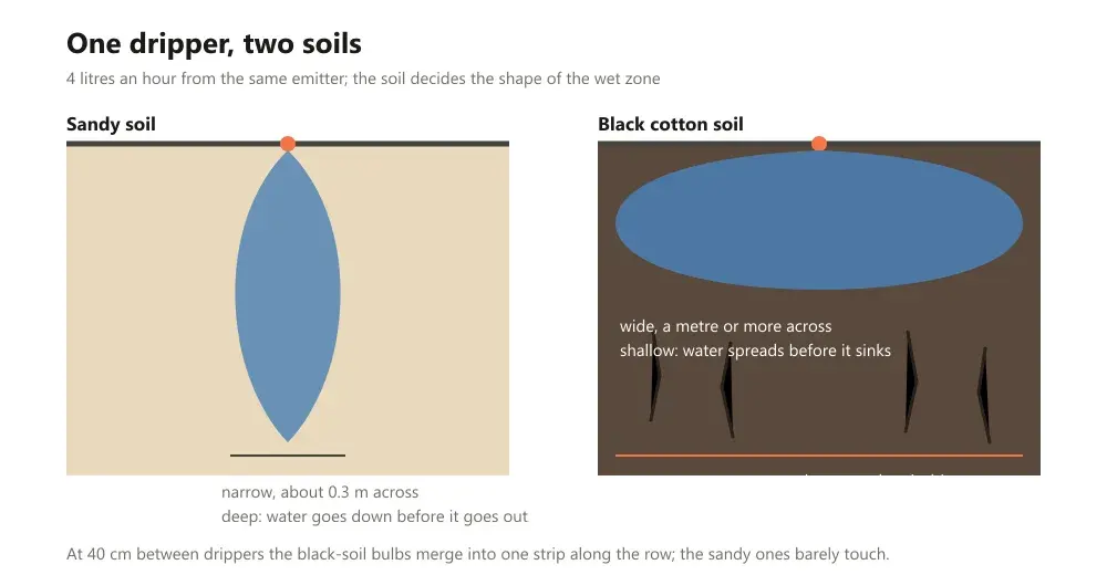 Two soil cross-sections under one dripper, a narrow deep wet bulb in sandy soil beside a wide shallow one in black cotton soil
