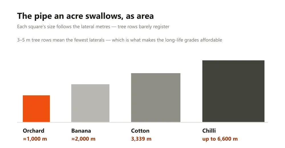 Four proportional squares comparing lateral metres per acre across orchard, banana, cotton and chilli