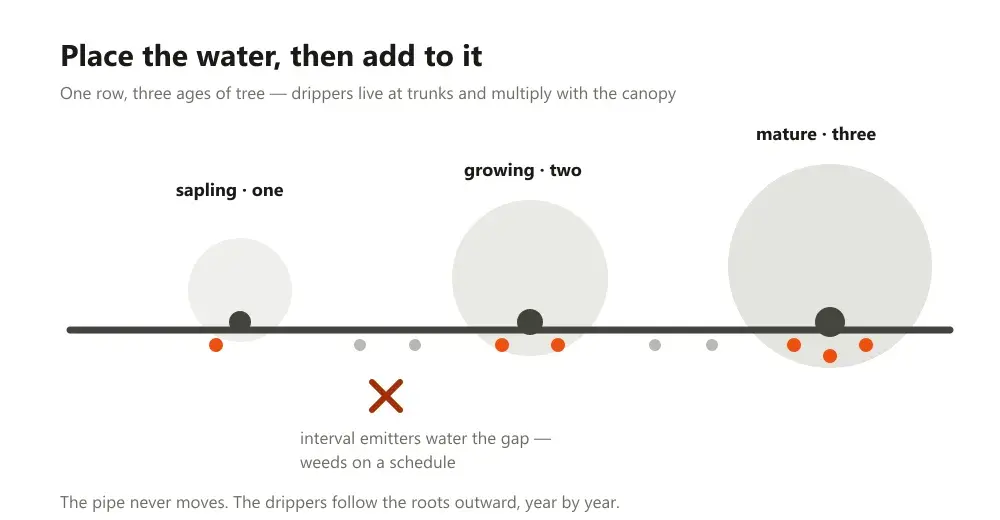 One tree row where gap-interval emitters are crossed out and trunk-placed drippers are kept
