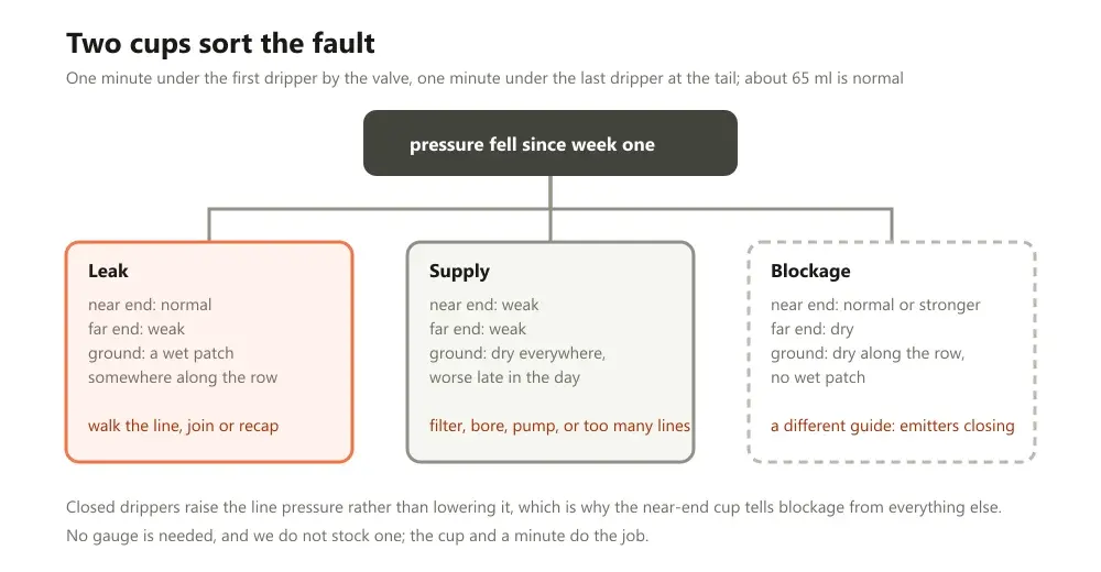 A three-way sorting chart for a drip system that has lost pressure, splitting into leak, supply and blockage by what the head and the far end of the lateral are doing