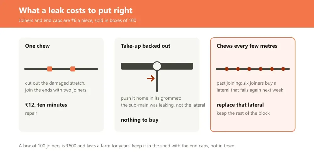 A row of three repair cards: a chewed stretch cut out and rejoined with two joiners, a take-up reseated in its grommet, and a lateral with chews every few metres marked replace