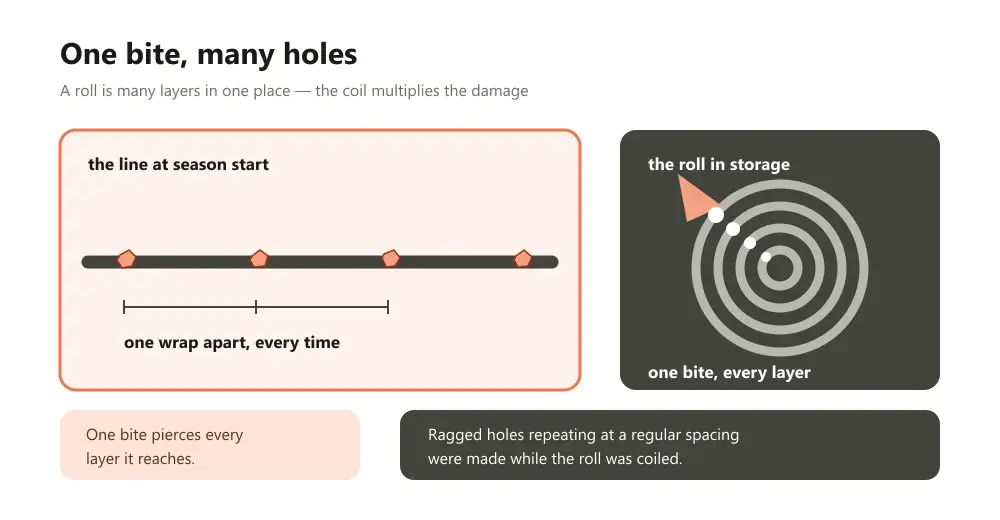 Coiled rain pipe roll with a single bite mark and the laid-out line beside it showing holes repeating one wrap apart